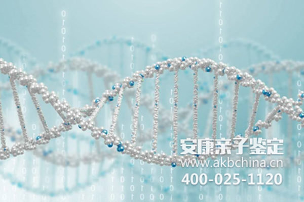 杭州杭州亲子鉴定需要多少钱 杭州DNA鉴定 