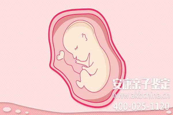 杭州怀孕期间做亲子鉴定吗,怀孕如何做亲子鉴定吗 