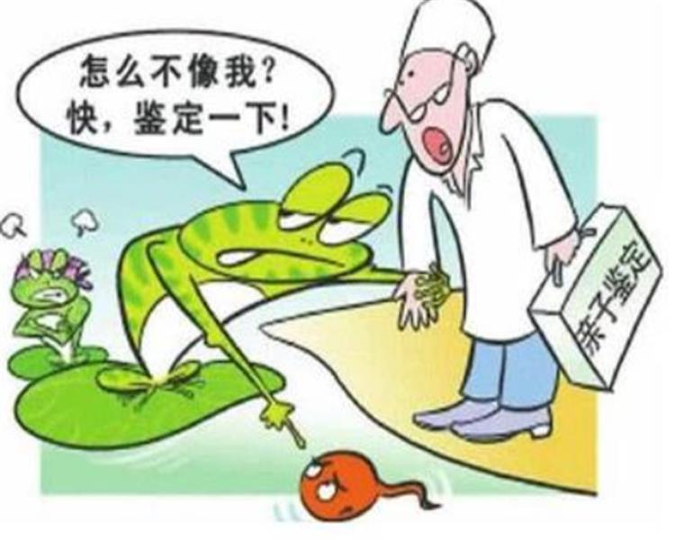 杭州渭南哪个医院可以做亲子鉴定 会不会很贵啊 