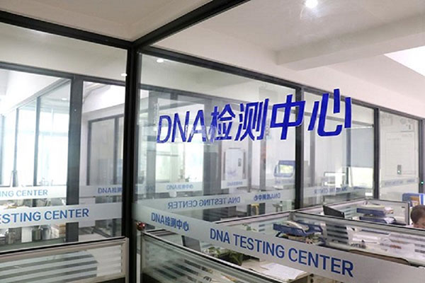杭州DNA亲子鉴定价格怎么算？（详细费用说明，帮你省钱） 